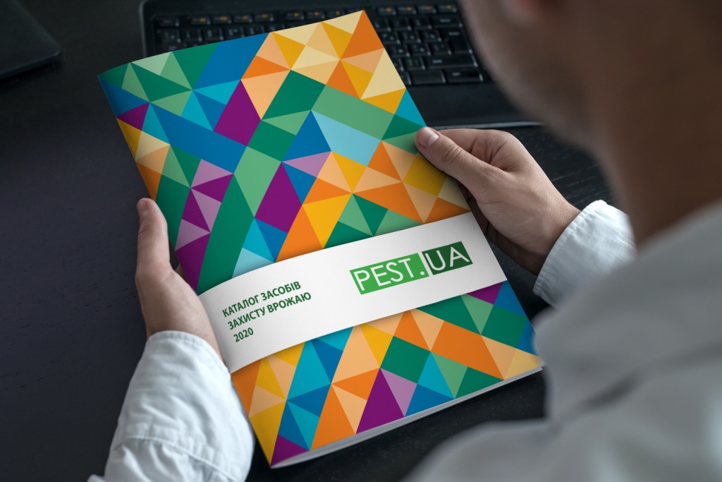 brochure-titul.jpg
